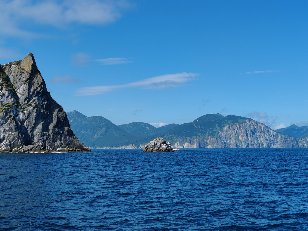 Фото на Honor 90