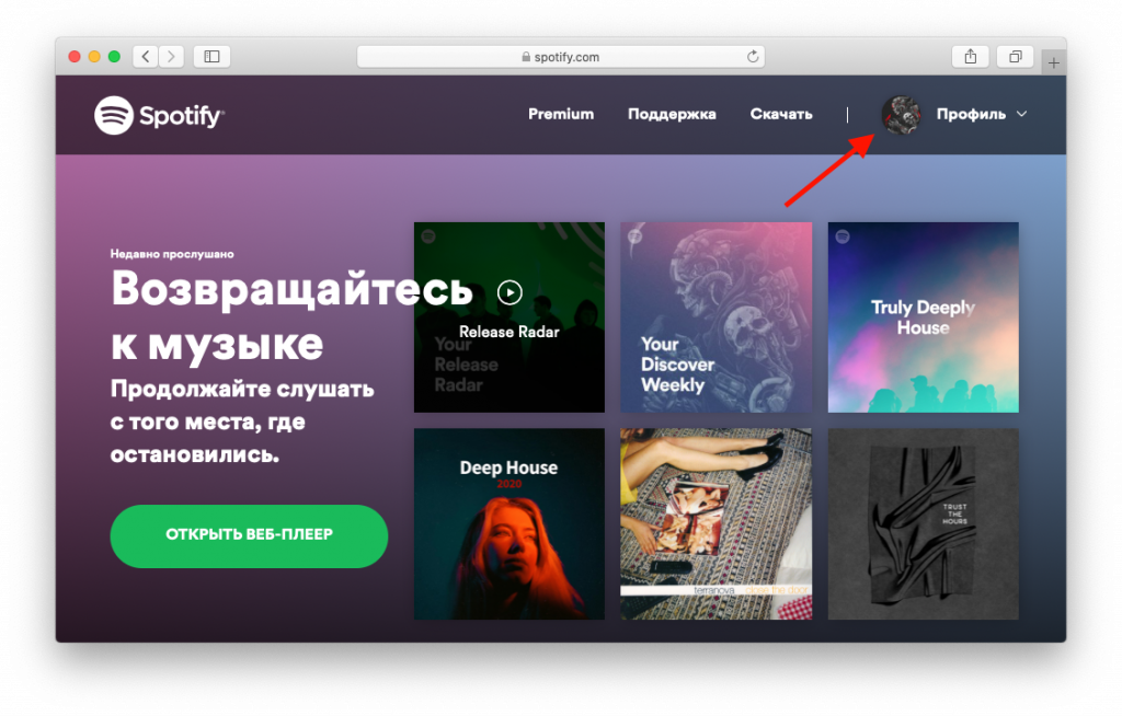 Подписка спотифай. Как отключить подписку Spotify. Оплата подписки спотифай. Подписка Spotify Premium. Как отключить подписку на tutorplace