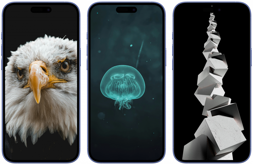 Скачать обои на телефон