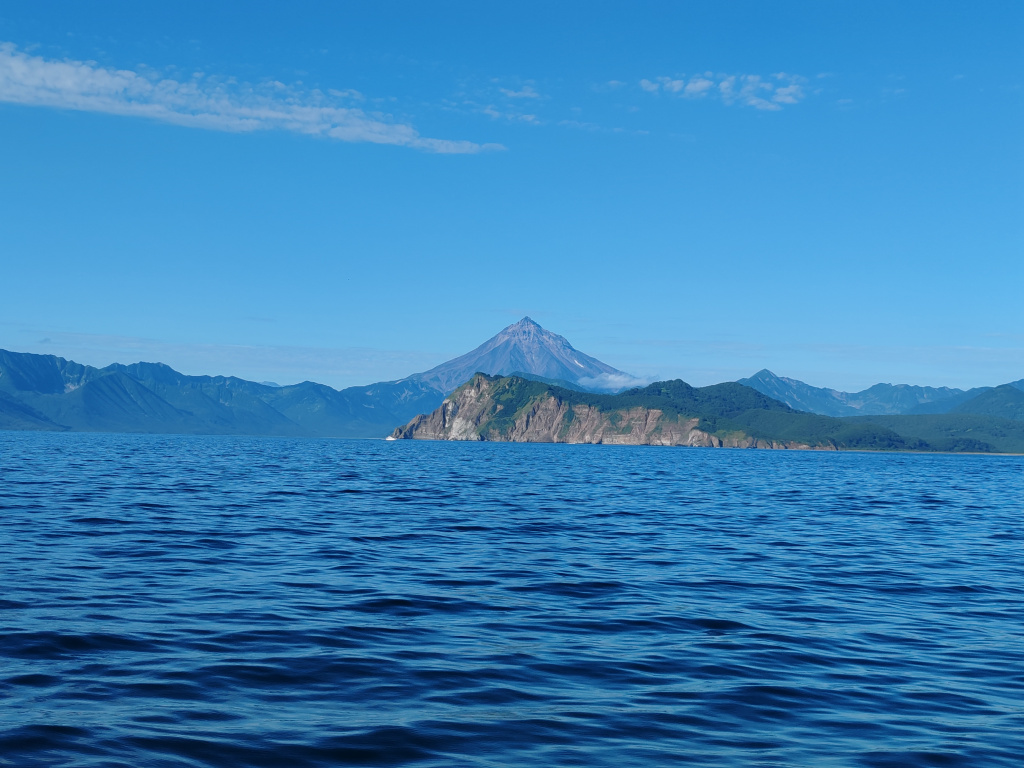 Фото на Honor 90