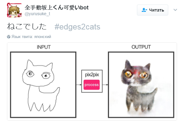edges2cats