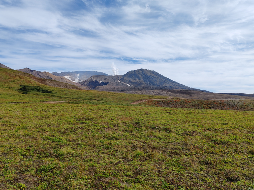 Фото на Honor 90