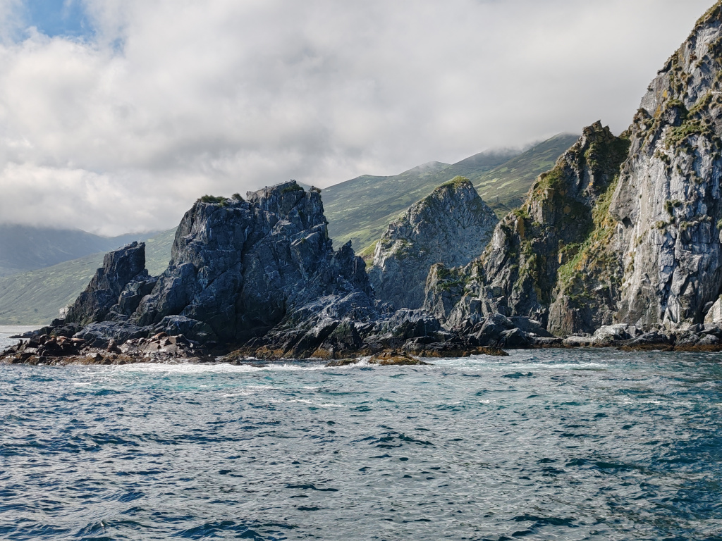 Фото на Honor 90