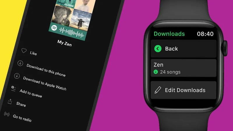 Как слушать музыку из Spotify на Apple Watch без интернета