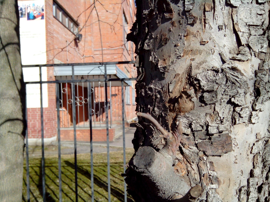 фото С ALPHATAB