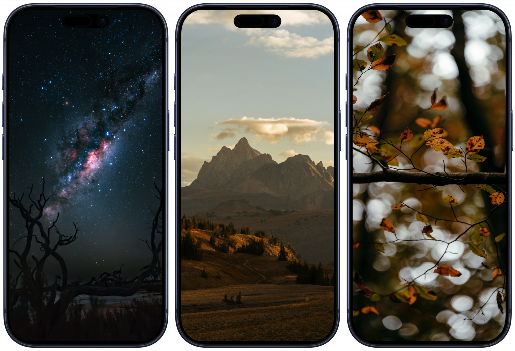 Обои на телефон Обои на телефон