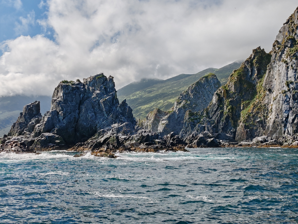 Фото на Honor 90