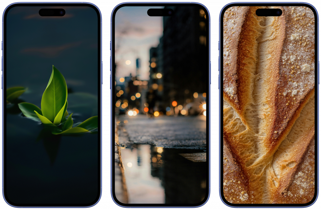 Скачать обои на телефон