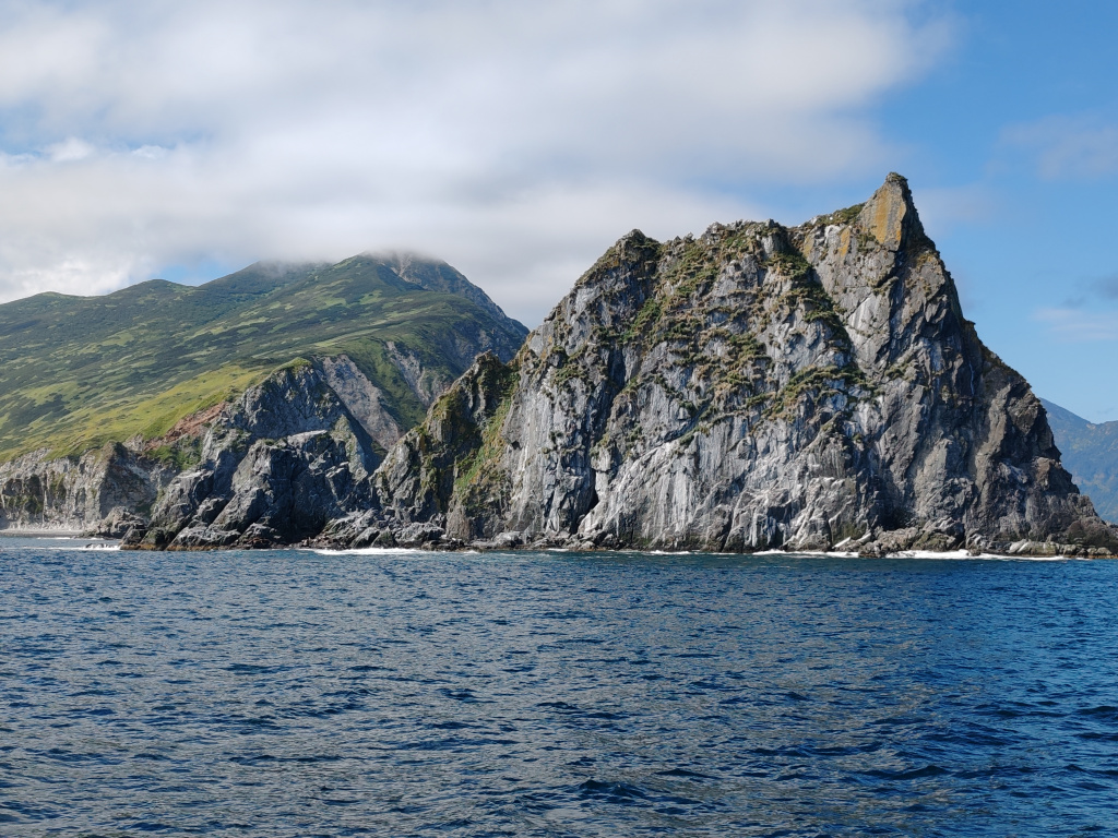 Фото на Honor 90