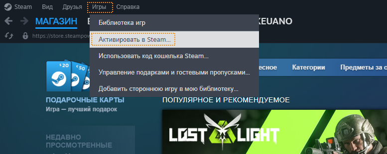 Steam