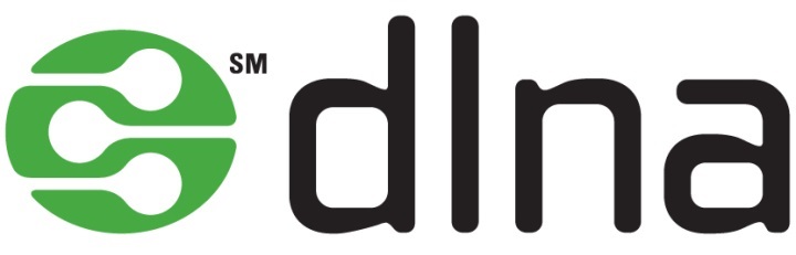 Логотип DNLA