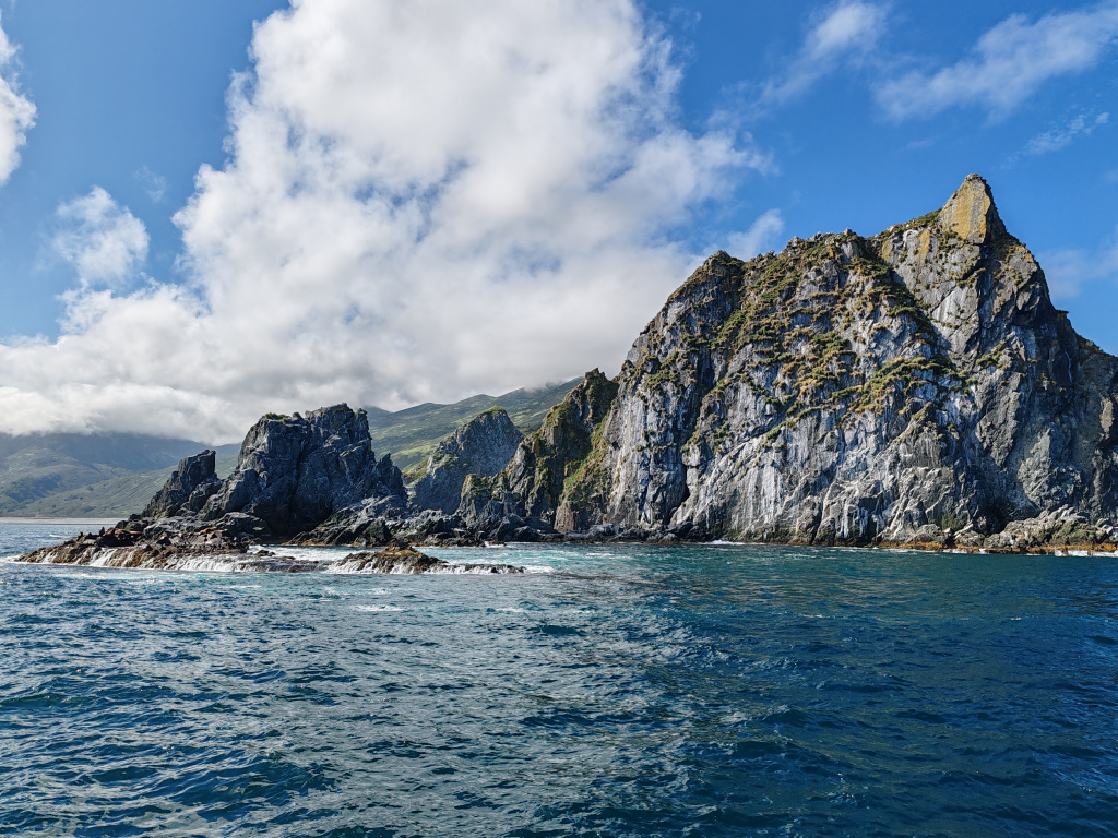 Фото на Honor 90