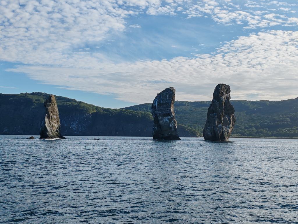 Фото на Honor 90