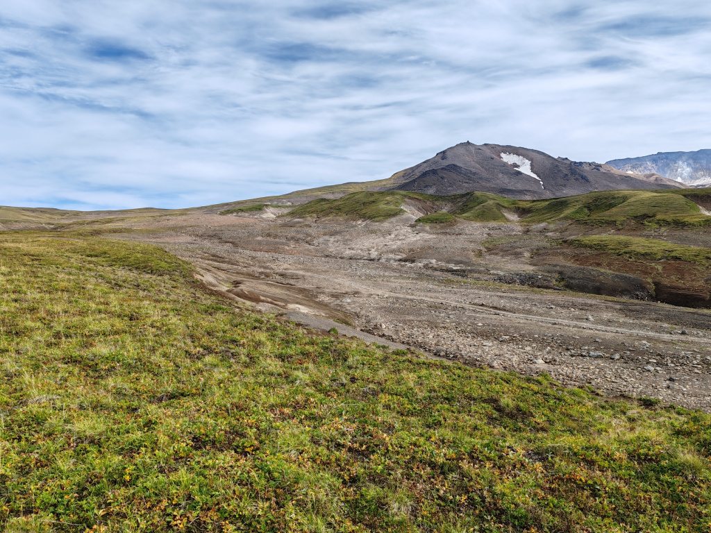 Фото на Honor 90