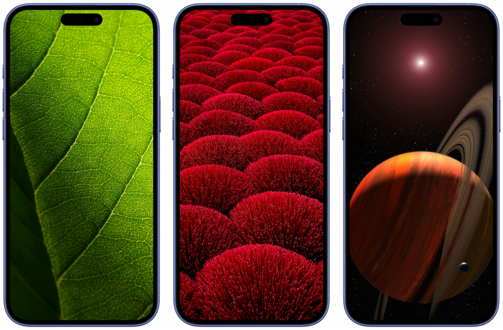 Скачать обои на телефон