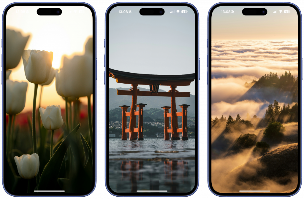 Обои на телефон Обои на телефон