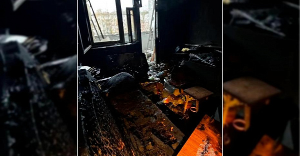 Зарядились на ремонт: в Гатчине смартфон спалил квартиру дотла