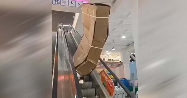 Помните историю, как в DNS сплющило телевизор за 400 тысяч? Стало известно, на кого легли эти расходы