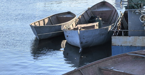 Фото на HUAWEI Pura 70 Ultra: Санкт-Петербург, Выборг и немного Ладожского озера