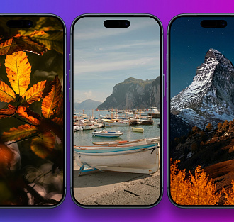 Обои на телефон: осень не отпускает