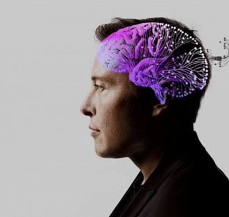 Мозг вместо глаз: Neuralink снова переписывает анатомию