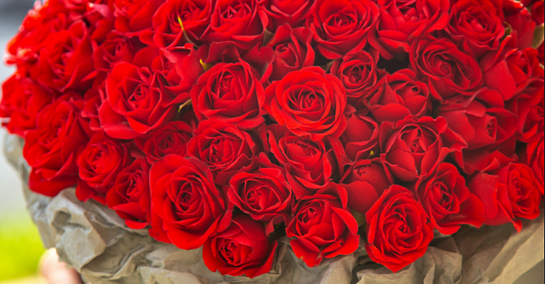 Цветочная ловушка: роскошный букет роз едва не стоил москвичке всех сбережений