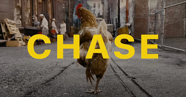 Видео: курица рекламирует iPhone 14 Pro