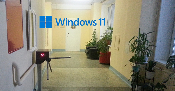 Microsoft запретила установку Windows 11 россиянам. Но ограничения легко обойти 