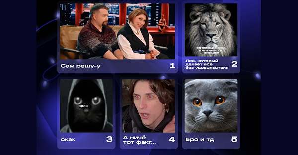 Пользователи «ВКонтакте» выбрали мемы года: в топе — «Сам решу-у», в антитопе — Лабубу и шутки о миллениалах