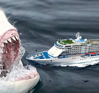 Мог ли мегалодон действительно перекусить корабль пополам? Интервью с палеонтологом