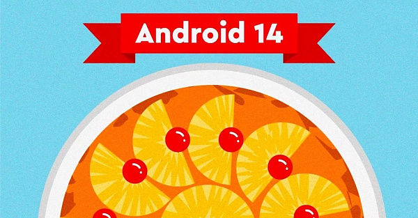Вышла первая бета-версия Android 14. Что нового? Как установить?
