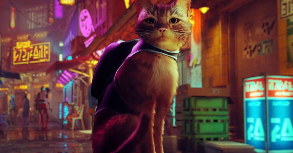 Игра Stray про бездомного кота в мире киберпанка стала суперхитом