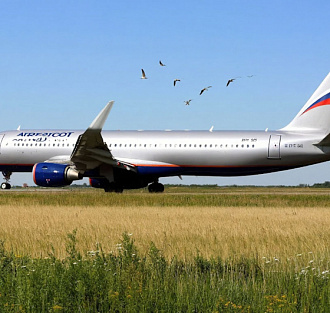 Власти нашли виновных в атаке на «Аэрофлот». Мало не покажется!