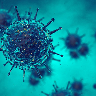 Почему все прогнозы по коронавирусу так сильно различаются