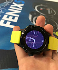 Месяц с мультиспортивными часами GARMIN Fenix 5