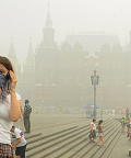 Как защитить свое здоровье от смога