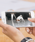Обзор Petcube: приложение для управления камерой и соцсеть для собачек и котиков